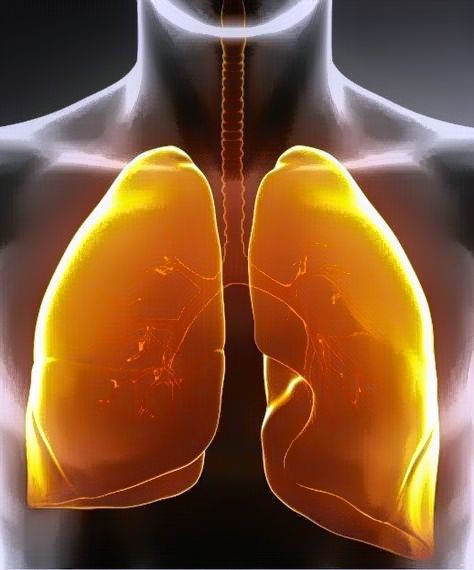 ΟΞΕΙΑ ΒΡΟΓΧΙΤΙΔΑ - ΟΞΕΙΑ ΒΡΟΓΧΙΟΛΙΤΙΔΑ